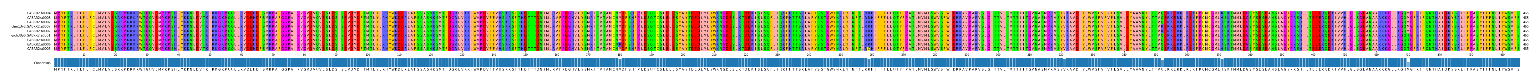 Multiple Alignments (by translate haplotype similarity)