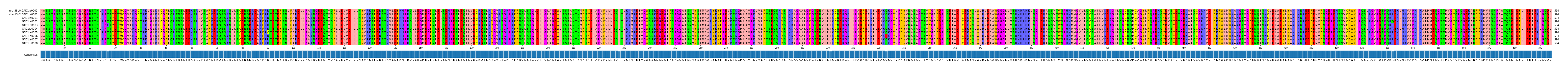 Multiple Alignments (by translate haplotype frequency)