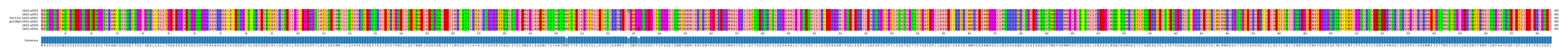 Multiple Alignments (by translate haplotype similarity)