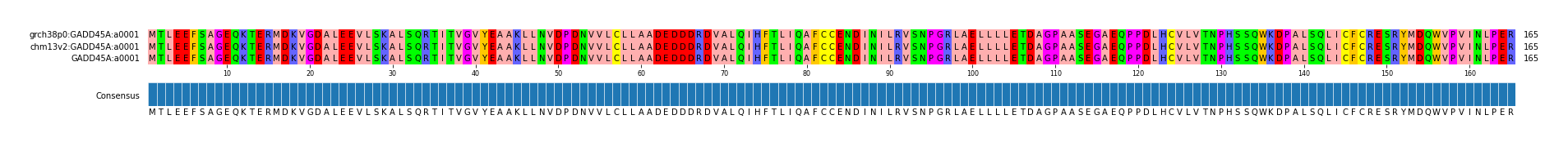 Multiple Alignments (by translate haplotype frequency)