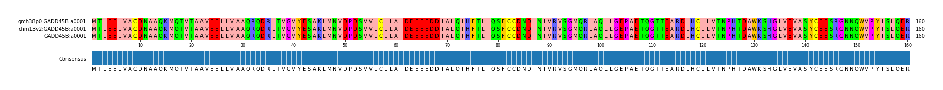 Multiple Alignments (by translate haplotype similarity)