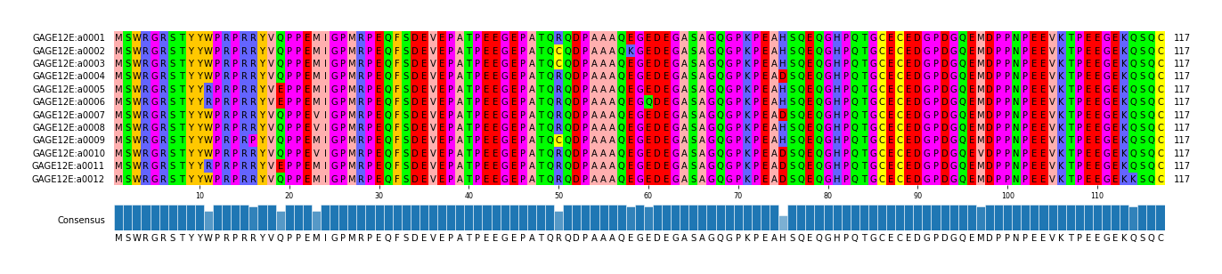 Multiple Alignments (by translate haplotype frequency)