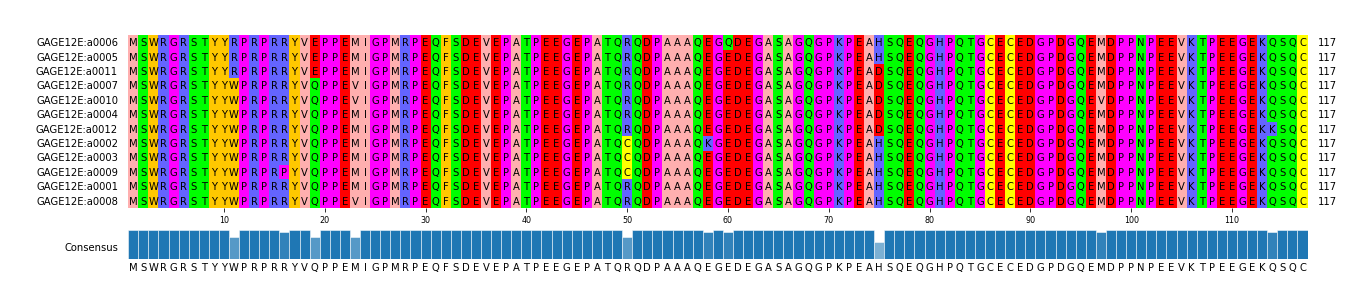 Multiple Alignments (by translate haplotype similarity)