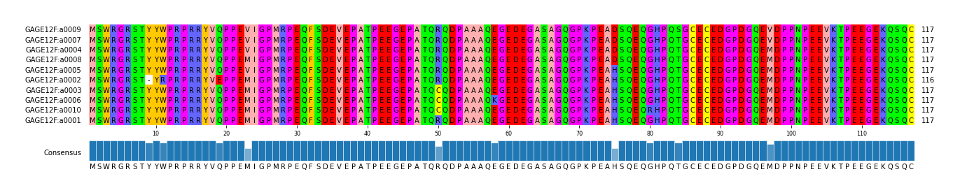 Multiple Alignments (by translate haplotype similarity)