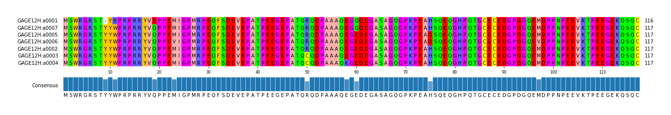 Multiple Alignments (by translate haplotype similarity)