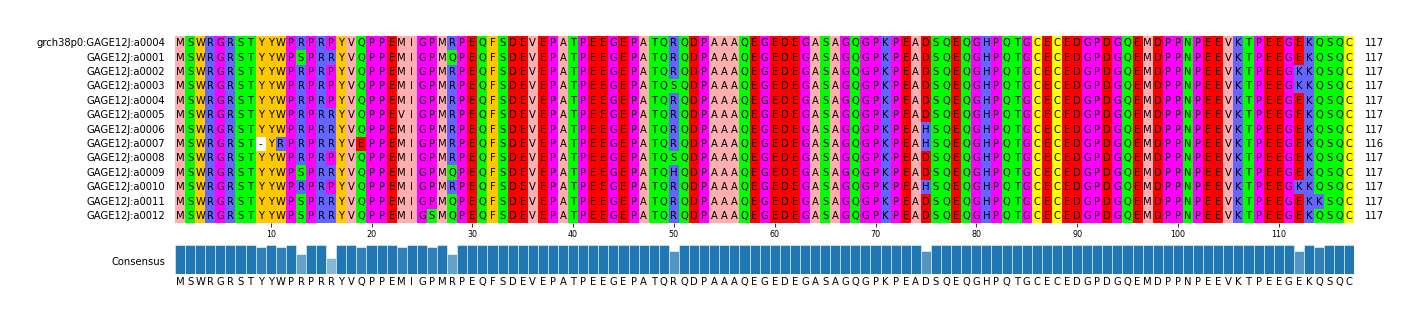 Multiple Alignments (by translate haplotype frequency)