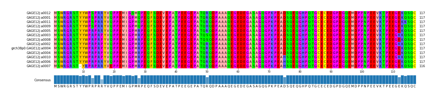 Multiple Alignments (by translate haplotype similarity)