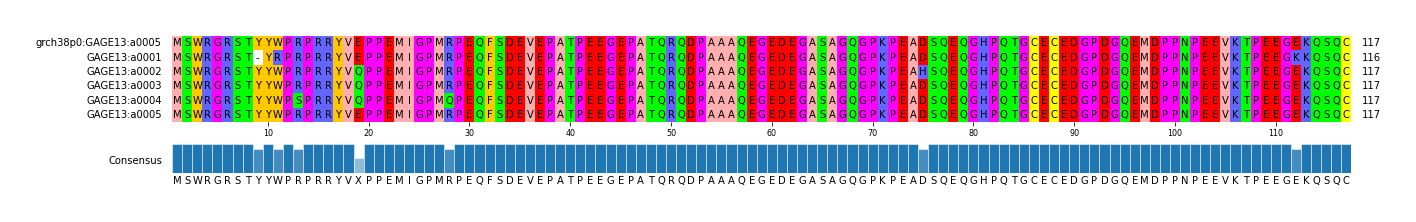 Multiple Alignments (by translate haplotype frequency)