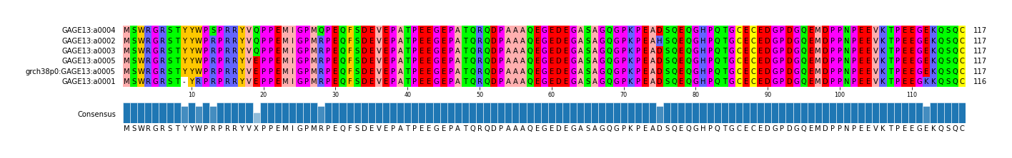 Multiple Alignments (by translate haplotype similarity)