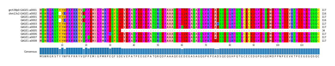 Multiple Alignments (by translate haplotype frequency)