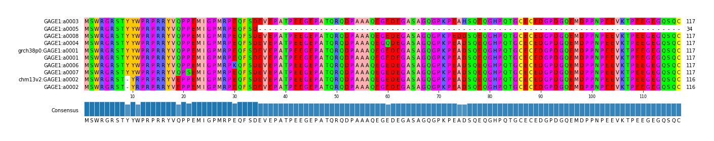 Multiple Alignments (by translate haplotype similarity)