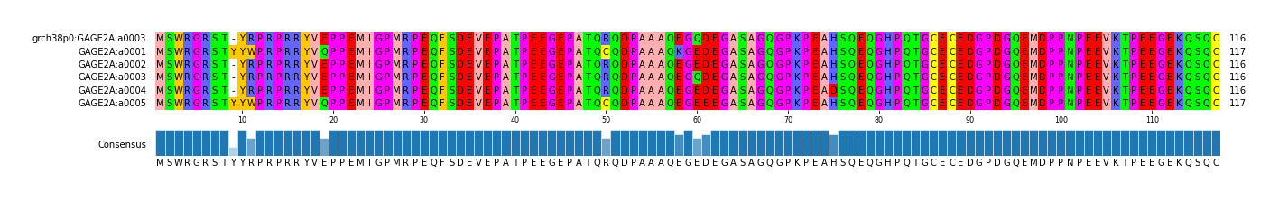 Multiple Alignments (by translate haplotype frequency)