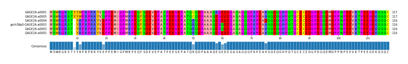 Multiple Alignments (by translate haplotype similarity)