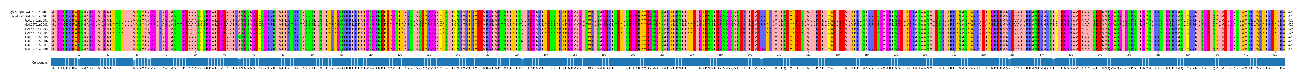 Multiple Alignments (by translate haplotype frequency)