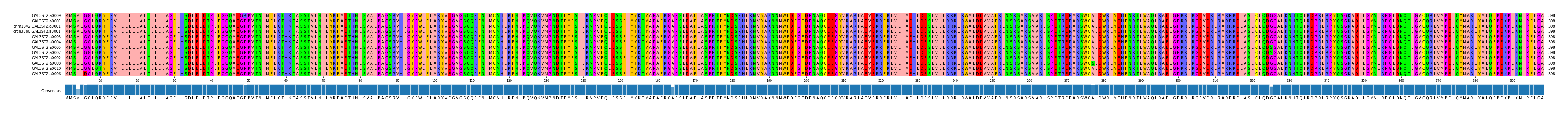 Multiple Alignments (by translate haplotype similarity)