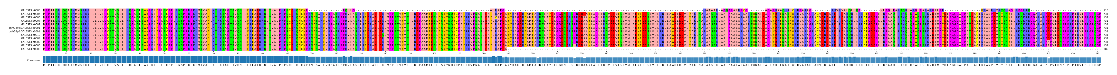 Multiple Alignments (by translate haplotype similarity)