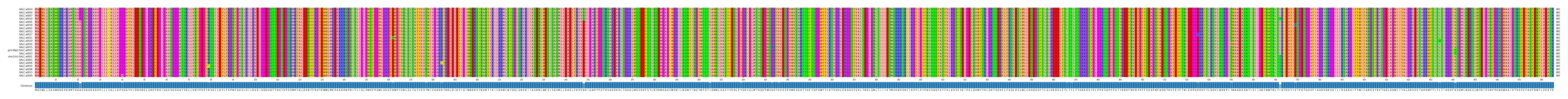 Multiple Alignments (by translate haplotype similarity)