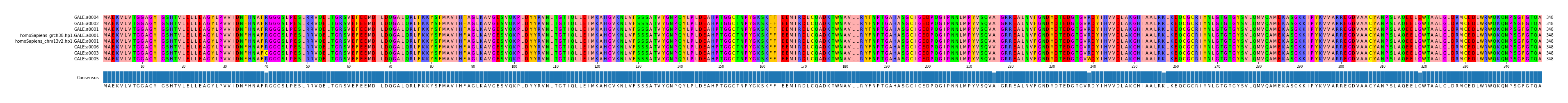 Multiple Alignments (by translate haplotype similarity)