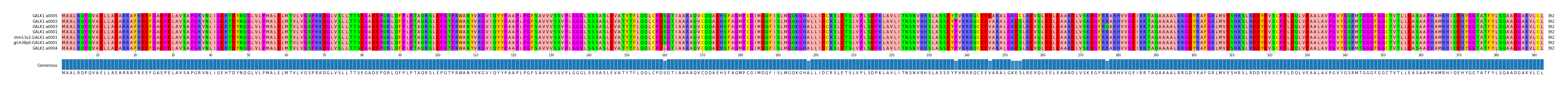 Multiple Alignments (by translate haplotype similarity)