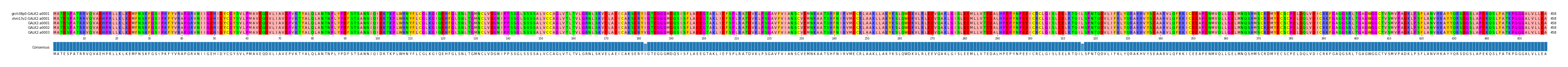 Multiple Alignments (by translate haplotype frequency)