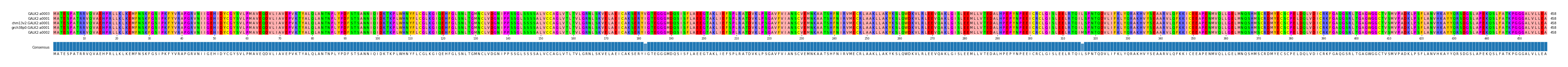 Multiple Alignments (by translate haplotype similarity)