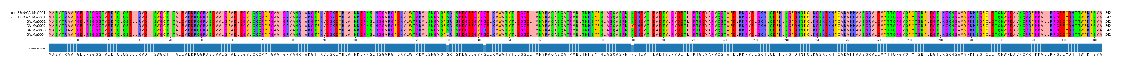 Multiple Alignments (by translate haplotype frequency)