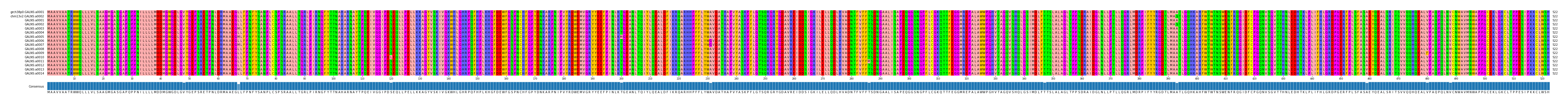 Multiple Alignments (by translate haplotype frequency)
