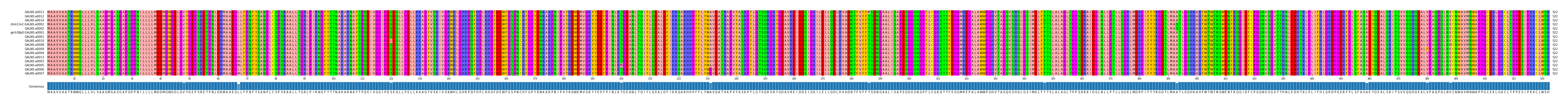 Multiple Alignments (by translate haplotype similarity)