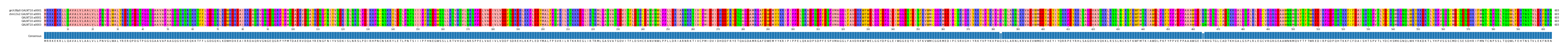 Multiple Alignments (by translate haplotype frequency)