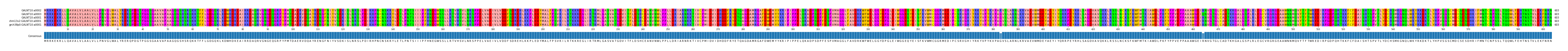 Multiple Alignments (by translate haplotype similarity)