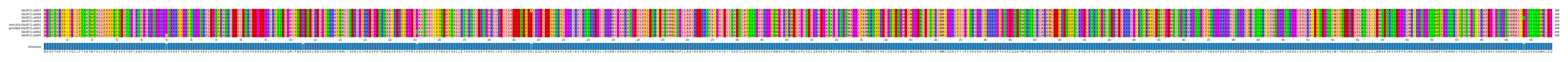 Multiple Alignments (by translate haplotype similarity)