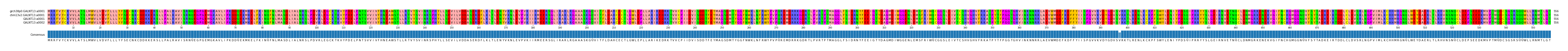 Multiple Alignments (by translate haplotype similarity)