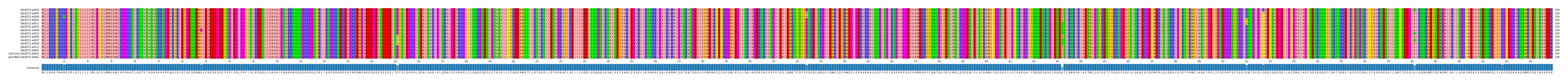 Multiple Alignments (by translate haplotype similarity)