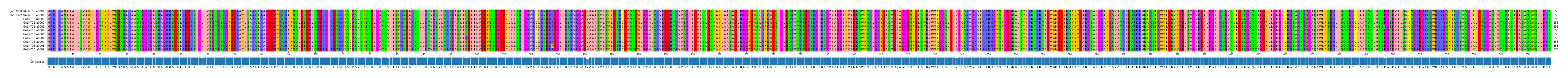 Multiple Alignments (by translate haplotype frequency)