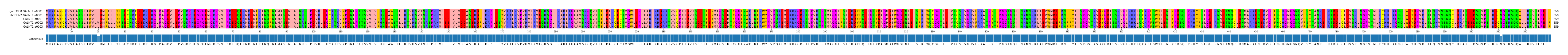 Multiple Alignments (by translate haplotype frequency)