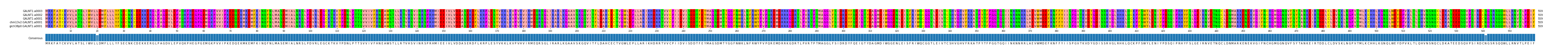 Multiple Alignments (by translate haplotype similarity)