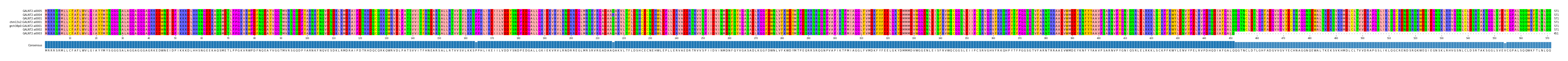 Multiple Alignments (by translate haplotype similarity)