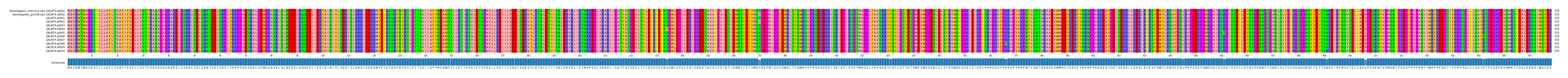 Multiple Alignments (by translate haplotype frequency)