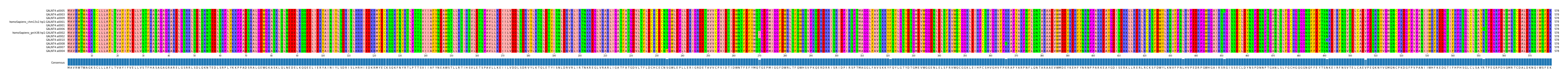 Multiple Alignments (by translate haplotype similarity)