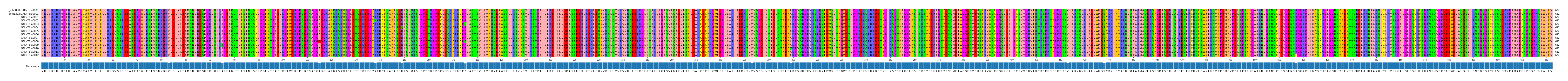 Multiple Alignments (by translate haplotype frequency)