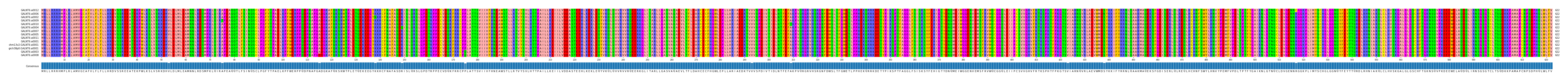 Multiple Alignments (by translate haplotype similarity)