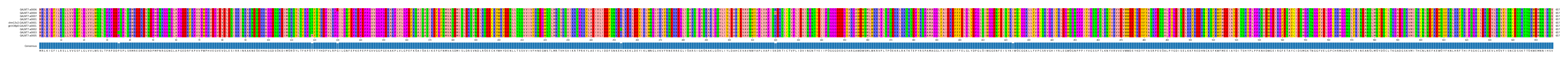 Multiple Alignments (by translate haplotype similarity)