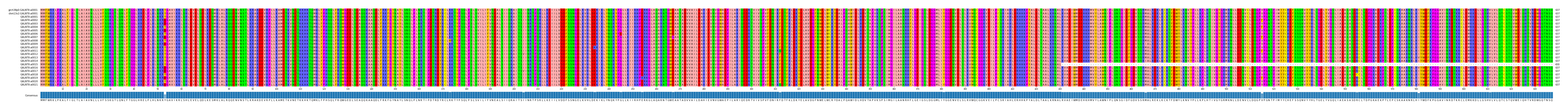 Multiple Alignments (by translate haplotype frequency)