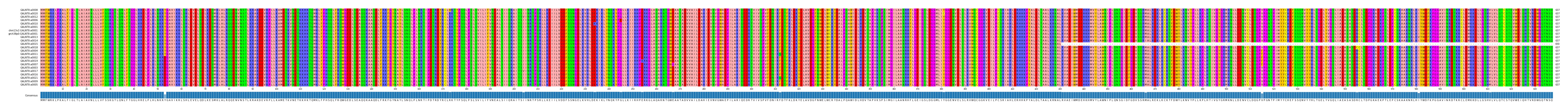 Multiple Alignments (by translate haplotype similarity)