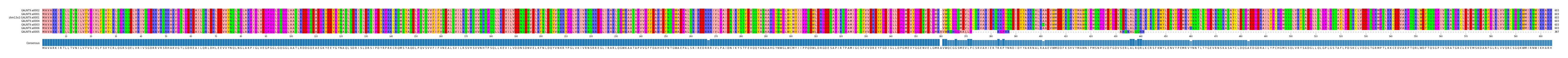 Multiple Alignments (by translate haplotype similarity)
