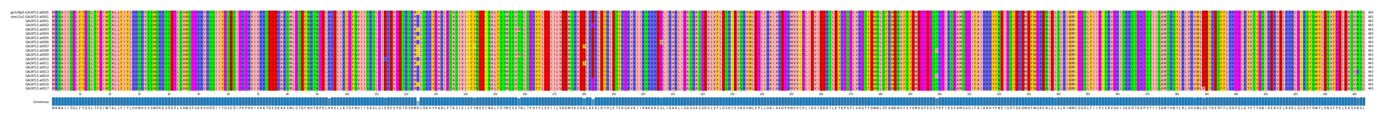 Multiple Alignments (by translate haplotype frequency)