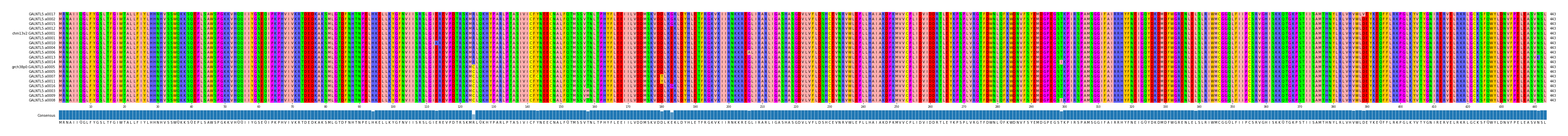 Multiple Alignments (by translate haplotype similarity)