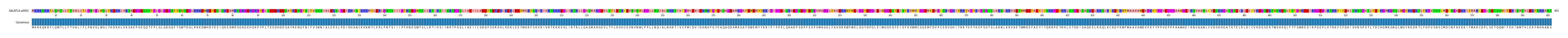 Multiple Alignments (by translate haplotype frequency)