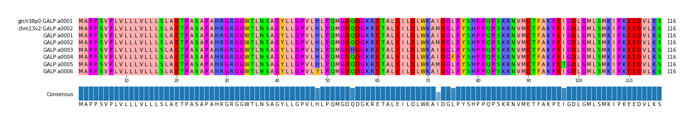 Multiple Alignments (by translate haplotype frequency)