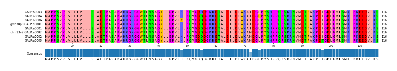 Multiple Alignments (by translate haplotype similarity)